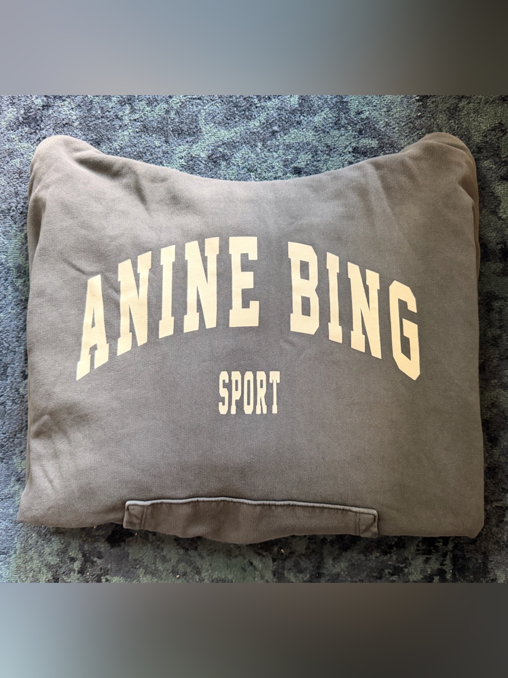 Anine Bing Olive Gray Logo Hoodie - Picture 2 of 2